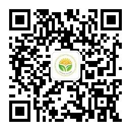 3044永利集团官网