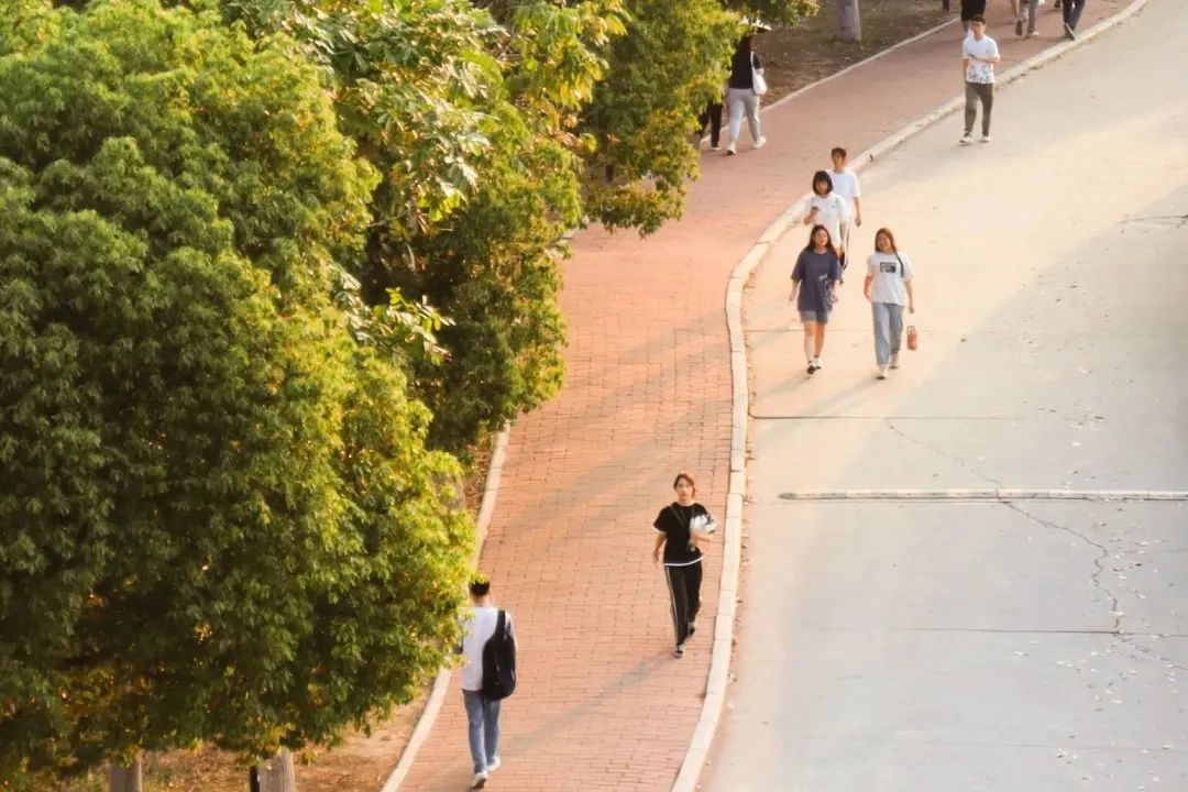 3044永利集团官网