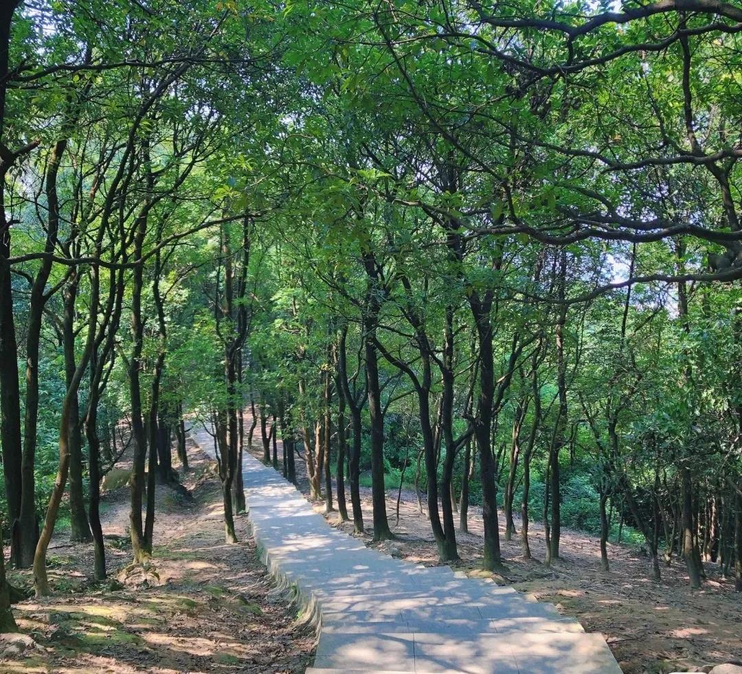 3044永利集团官网