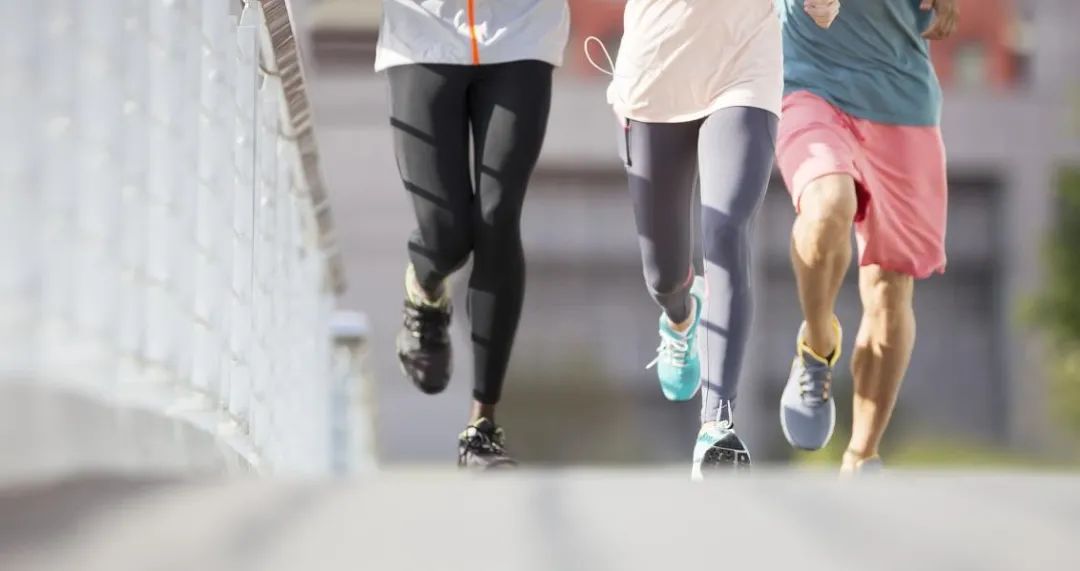 3044永利集团官网